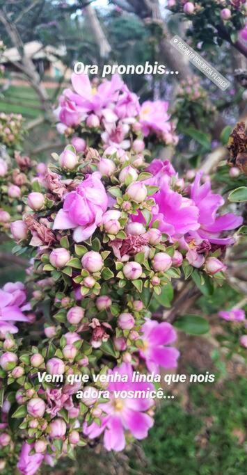 Recanto Dos Beija Flores, Chale Lantana C Monte Alegre do Sul Exterior foto